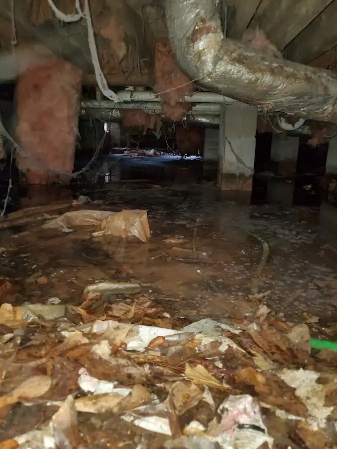Crawl space flood assessment for Leak Detection & Repair in Menomonie